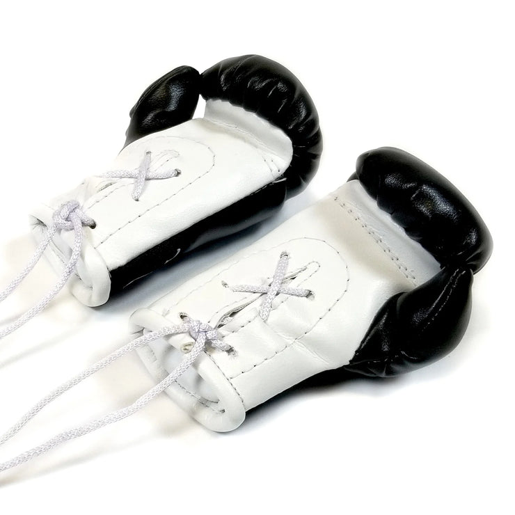 Mini Boxing Gloves - Black